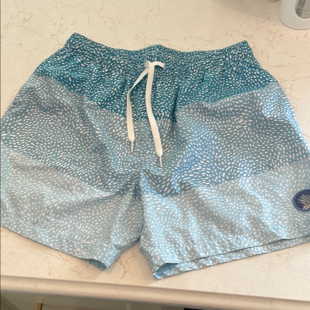 Chubbies Blue Patterned Swim Shorts